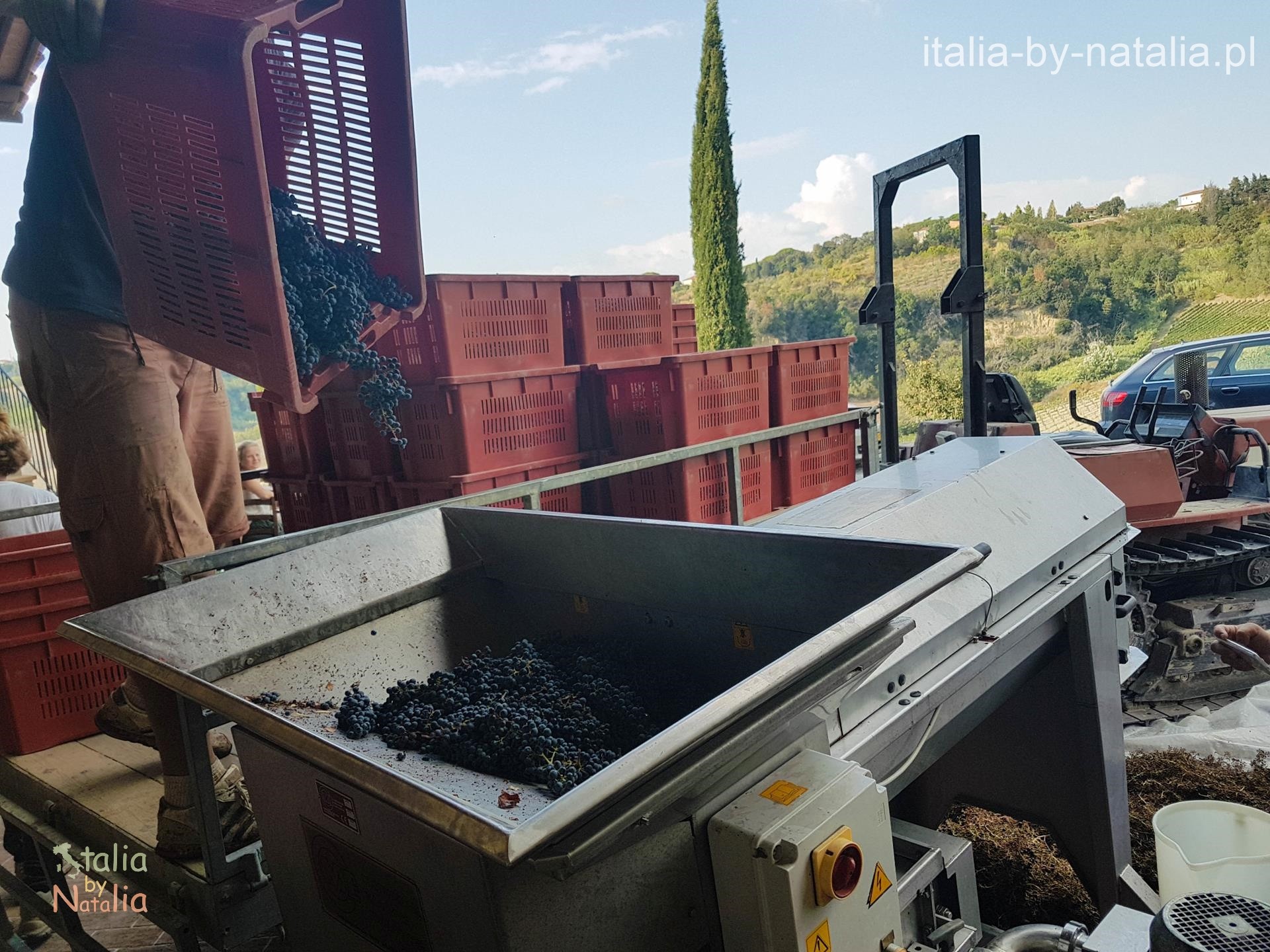Toskania jesienią castelvecchio winnica winobranie