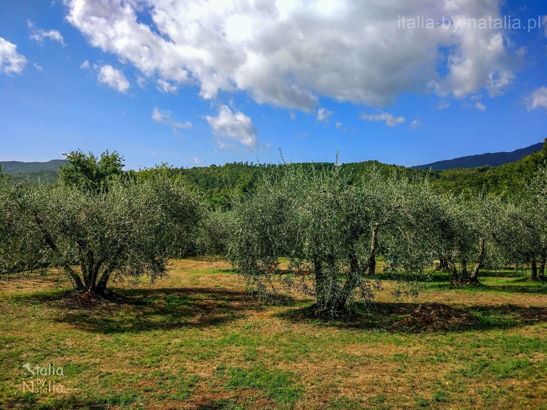 agroturystyka w toskanii na wsi Toskania Podere di Santa Maria