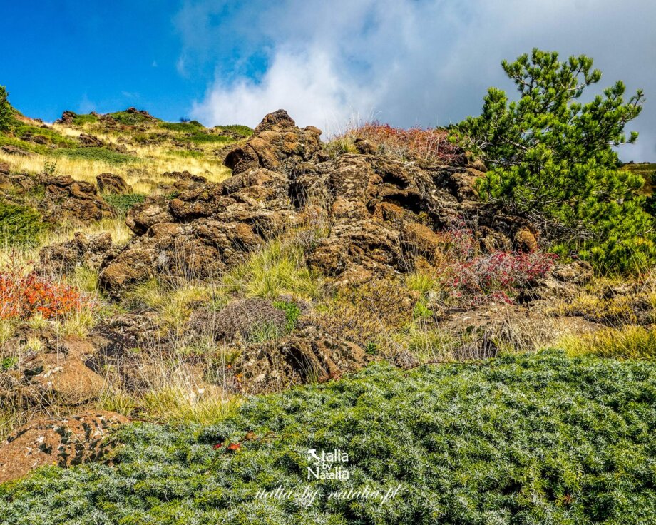 Etna zwiedzanie wulkanu dojazd kolejka linowa trekking z polskim przewodnikiem atrakcje jesień lato zima wiosna