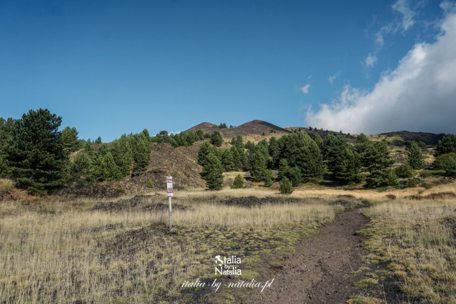 Etna zwiedzanie wulkanu dojazd kolejka linowa trekking z polskim przewodnikiem atrakcje jesień lato zima wiosna