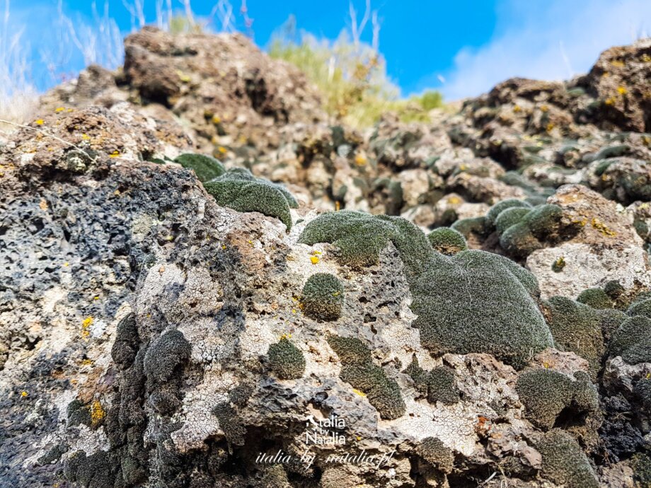 Etna zwiedzanie wulkanu dojazd kolejka linowa trekking z polskim przewodnikiem atrakcje jesień lato zima wiosna