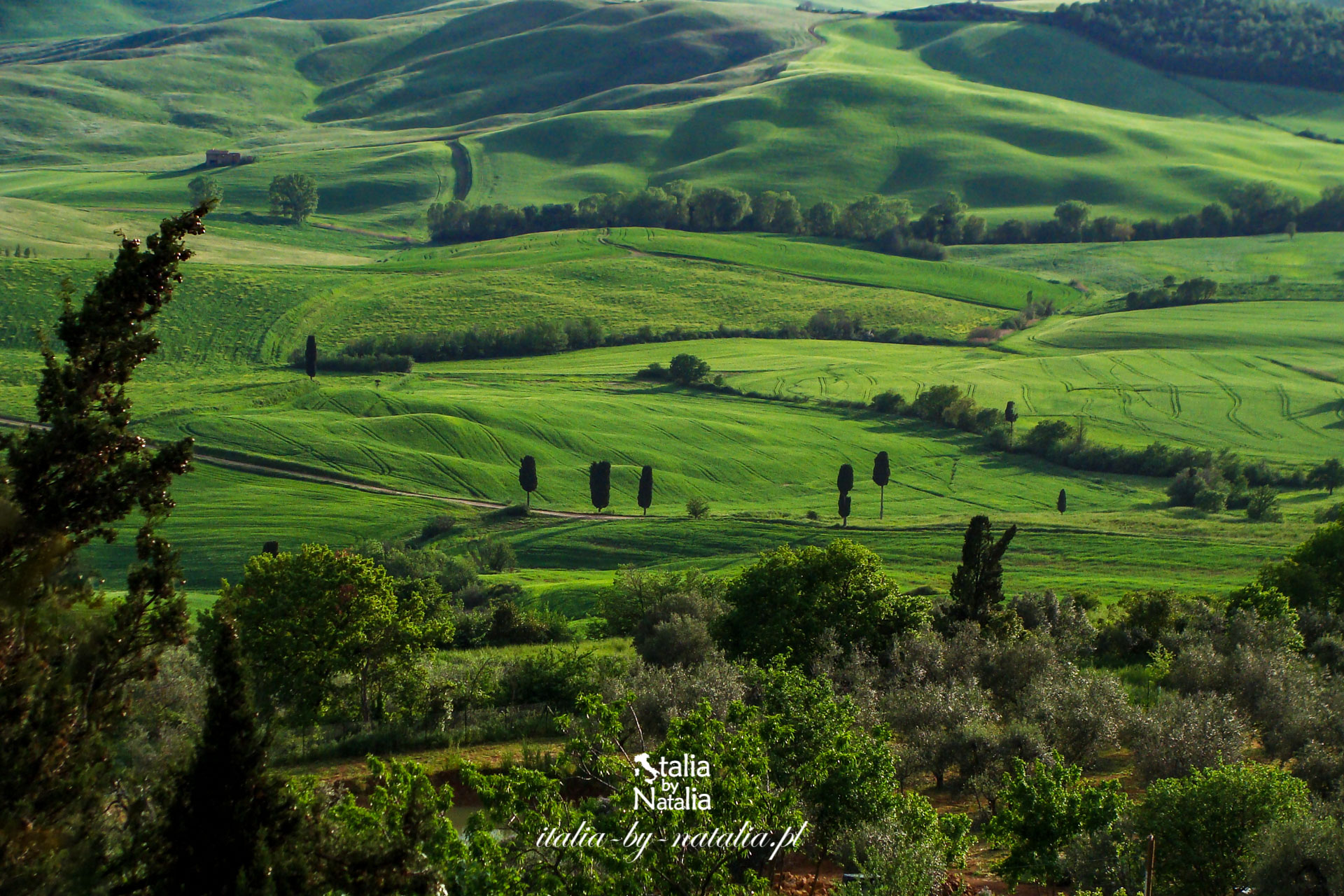 Spring in Tuscany. Why is it worth visiting Tuscany in spring?