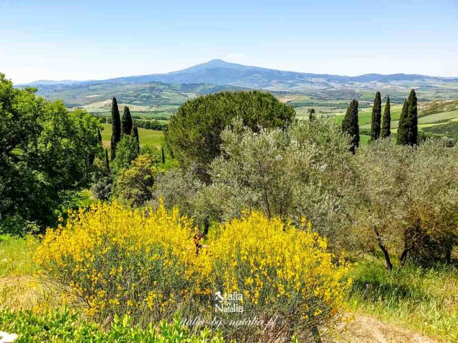 La Foce - ogrody z pięknym widokiem na wzgórza Val d'Orcia w Toskanii