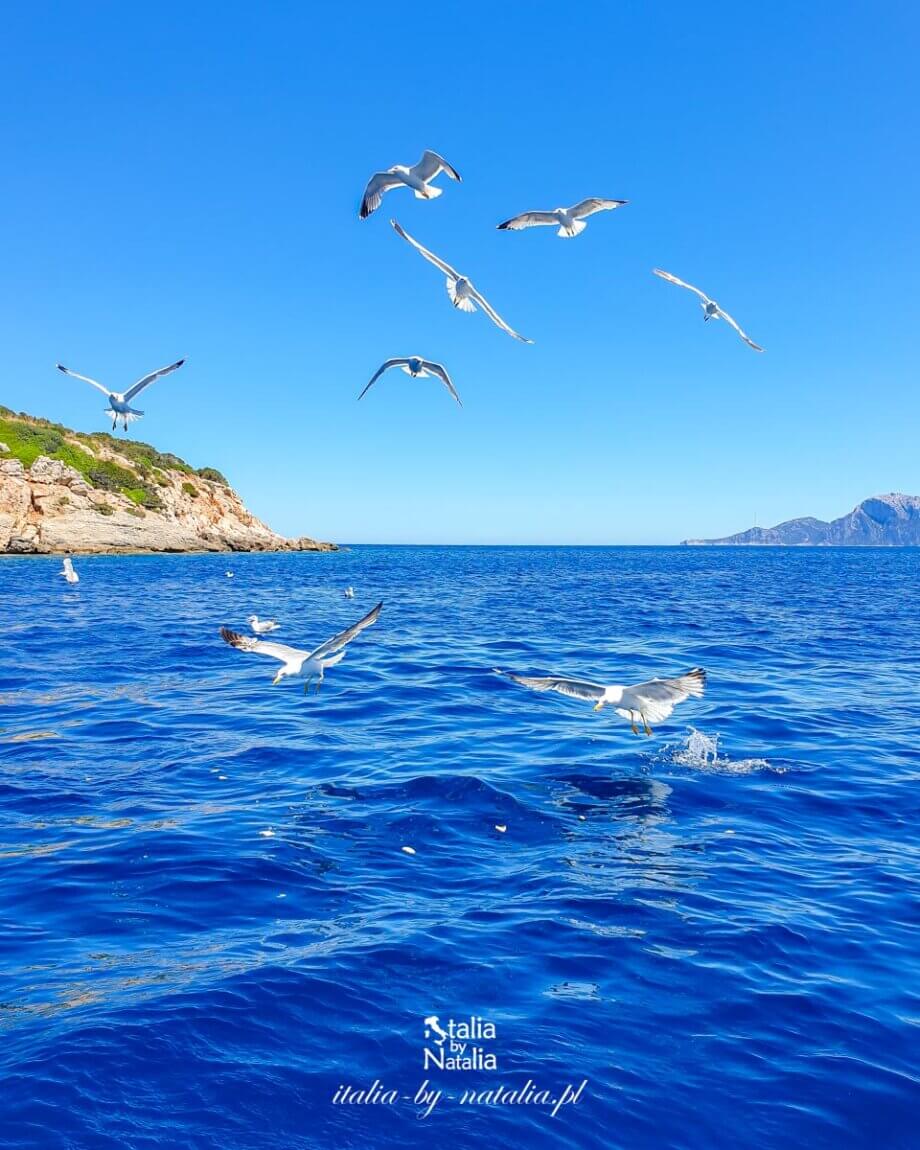Wakacje na jachcie - rejs przy północno wschodnim wybrzeżu Sardynii, Costa Smeralda i okolice
