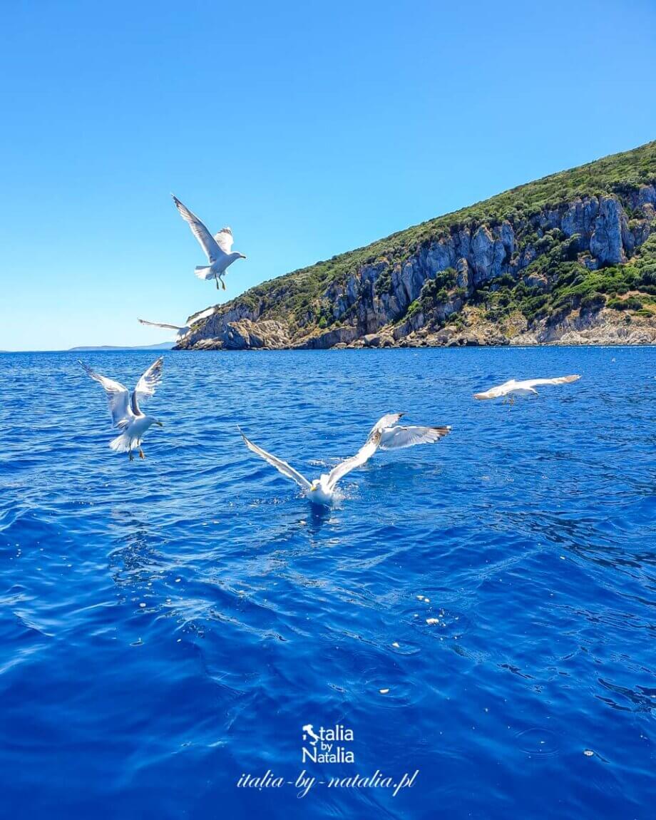 Wakacje na jachcie - rejs przy północno wschodnim wybrzeżu Sardynii, Costa Smeralda i okolice