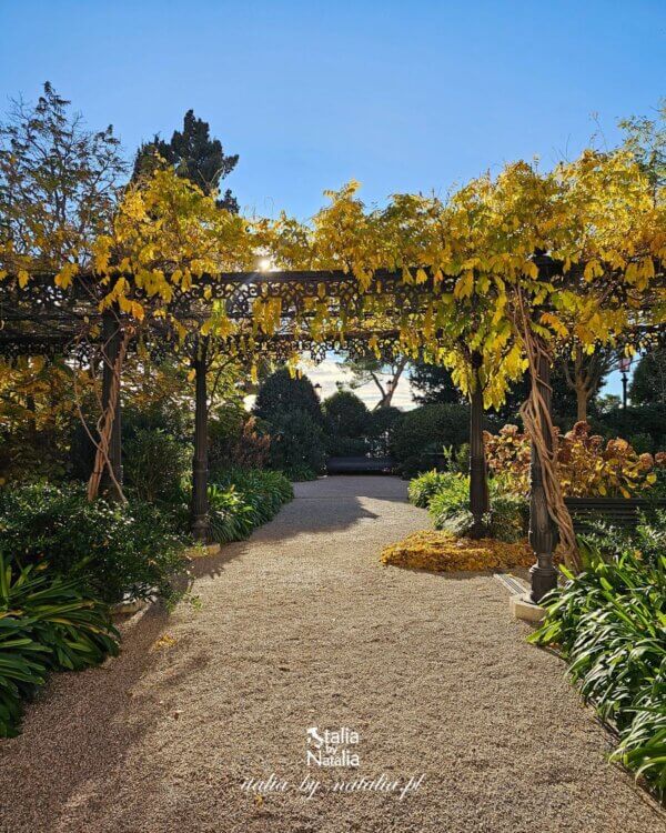 Ogrody królewskie w Wenecji (Giardini Reali di Venezia) - zielony zakątek tuż obok Placu św. Marka