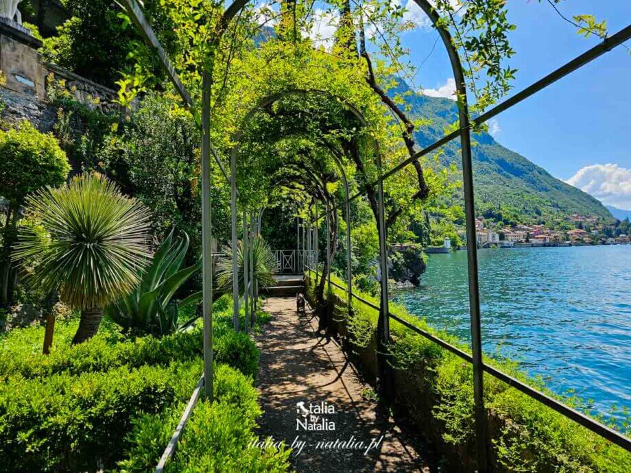 spacer wewnatrz tunelu z wisterii w ogrodzie villi monastero