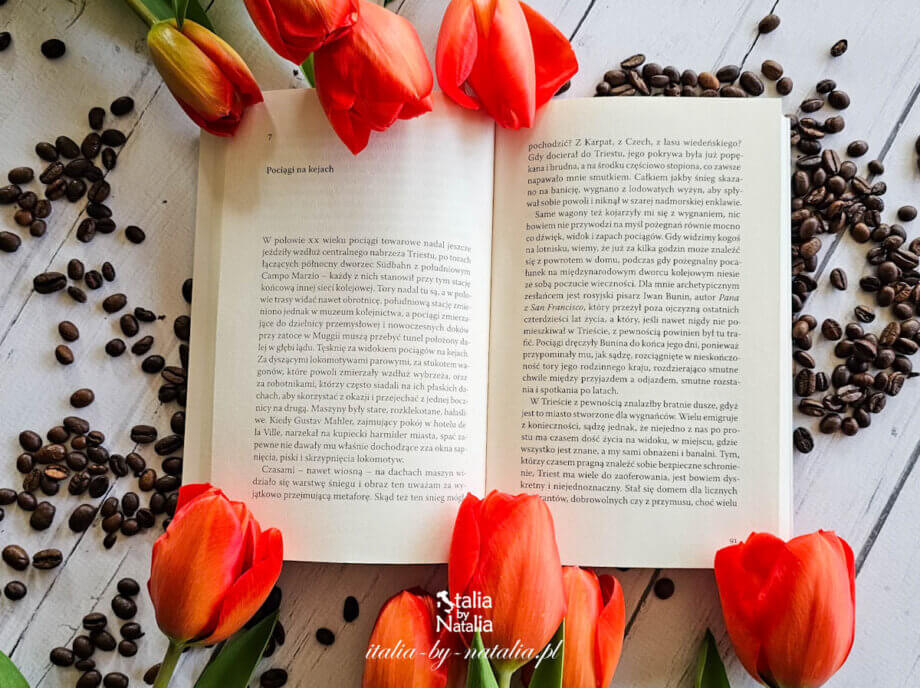 Otwarta książka „Triest, czyli nigdzie” Jana Morrisa wśród czerwonych tulipanów i ziaren kawy